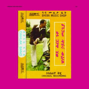 hailu mergia