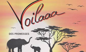 Voilaaa some nice promises of groove