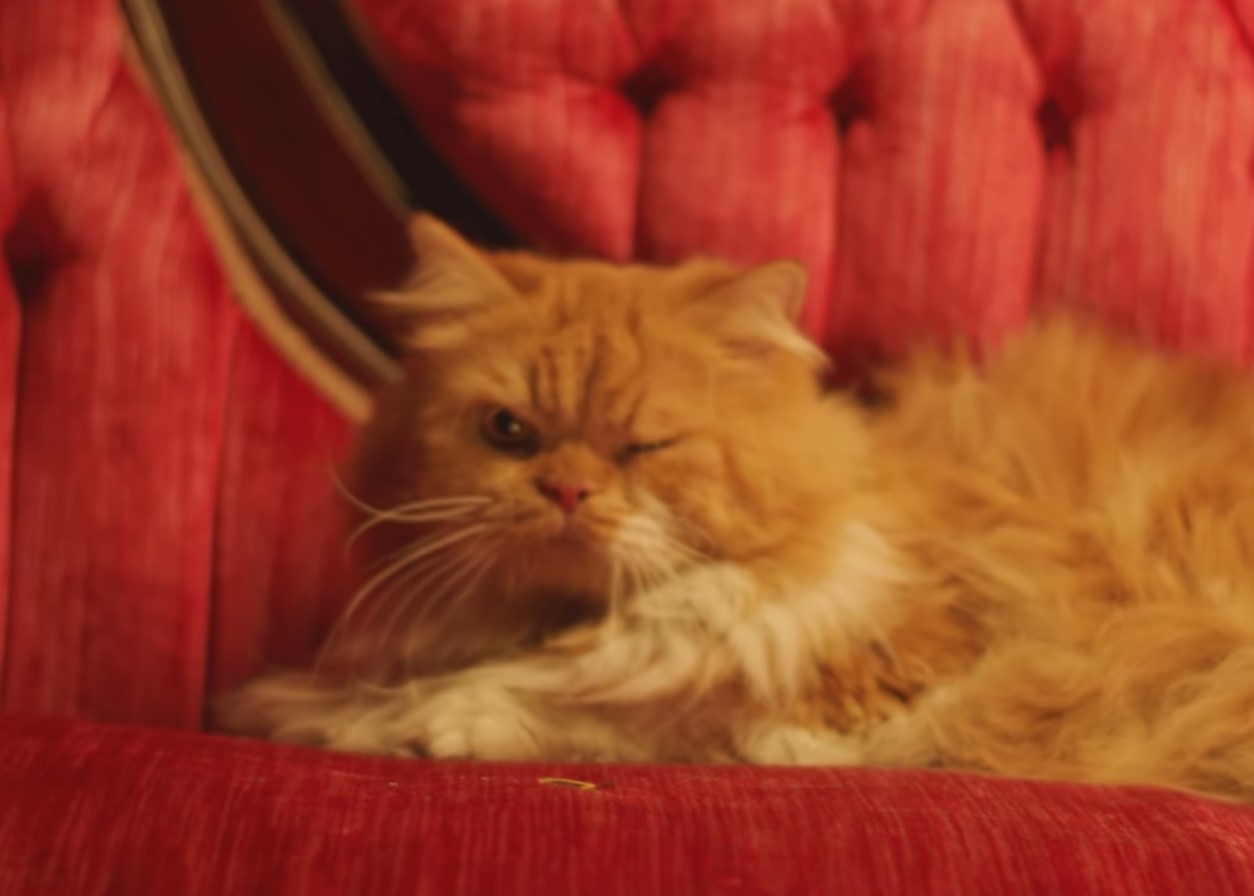Wizkid and Vybz Kartel’s new video features winking cats and dancing girls