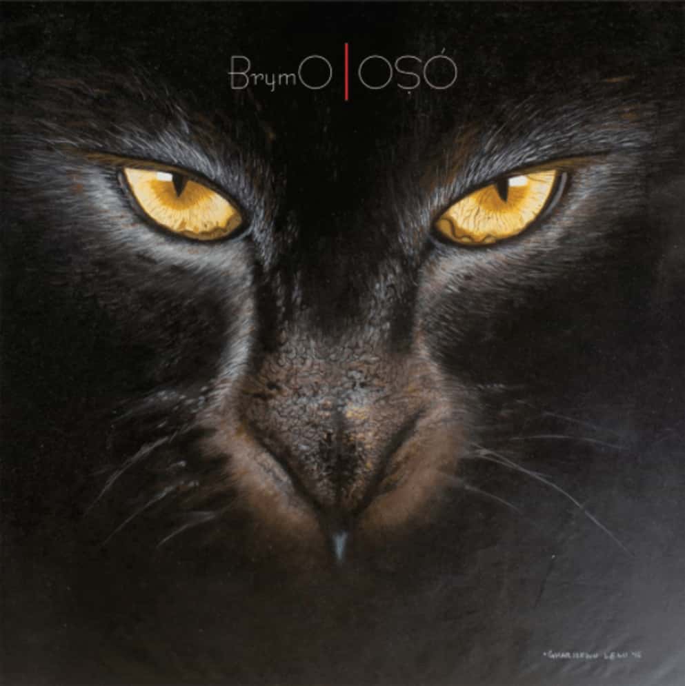 Brymo Oso