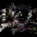 Bantou Mentale annonce leur premier album éponyme sur Glitterbeat Records
