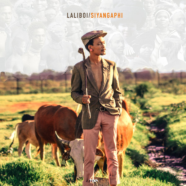 Siyangaphi artwork