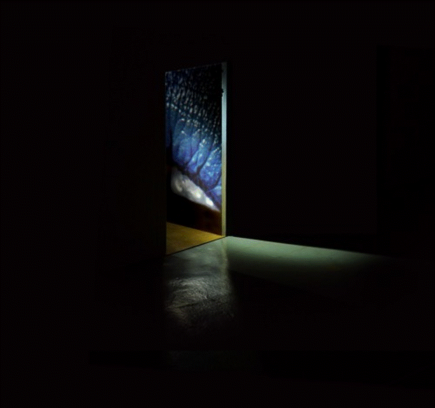 Raime - Planted EP