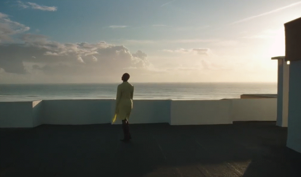 Pongo - Canto - clip 2
