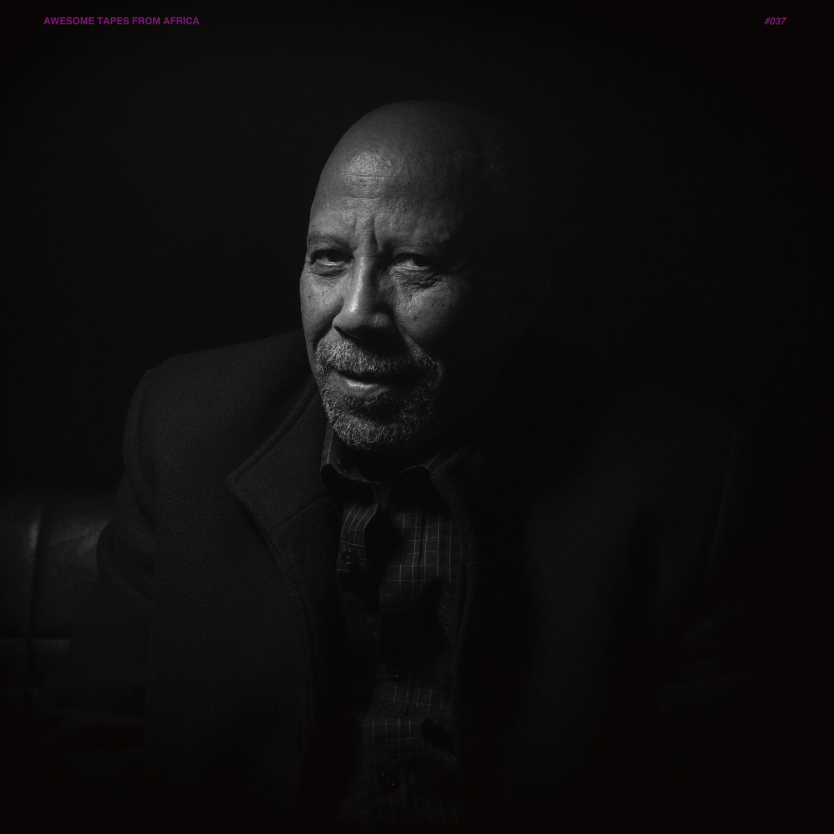 Hailu Mergia