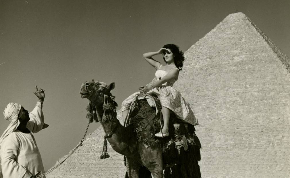Divas : femmes et phares du monde arabe
