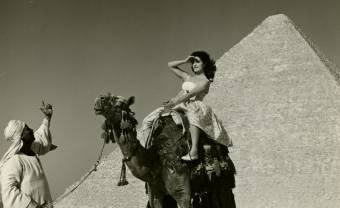 Divas : femmes et phares du monde arabe