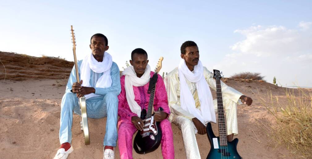 Etran de l'Aïr: Air, guitars and stars!