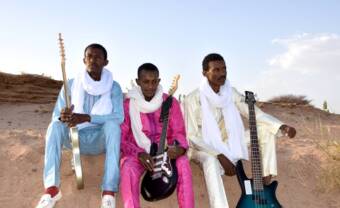 Etran de l’Aïr: Air, guitars and stars!