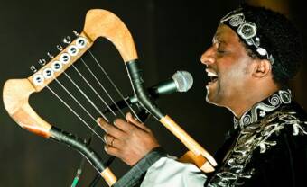 A brief survey of African harps: the kora, krar, adungu and more