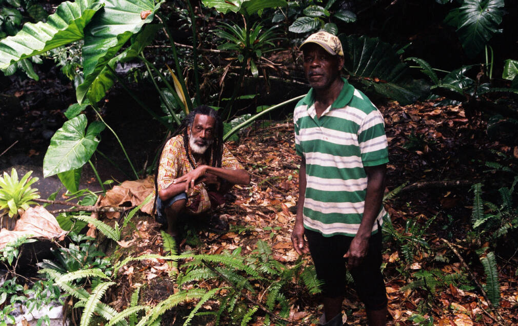 Moïse Polobi et Klod Kiavué, la nature reprend ses droits